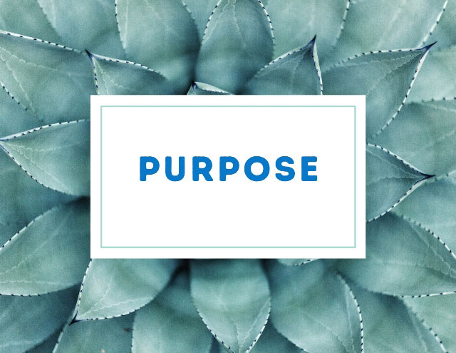 Purpose